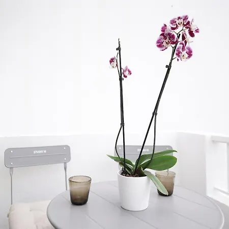 Apartment 10 / Tenerife *